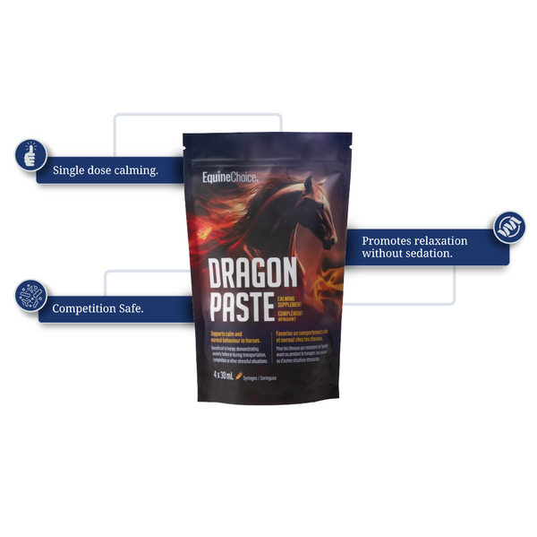 Equine Choice Dragon Paste Calming Supplement